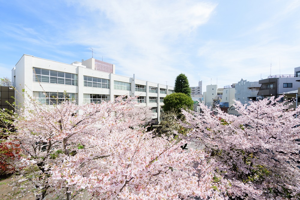 国立音楽大学附属高等学校