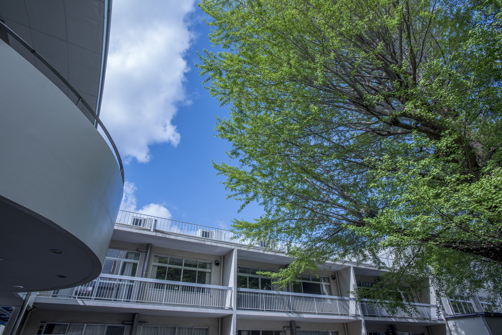 東星学園高等学校